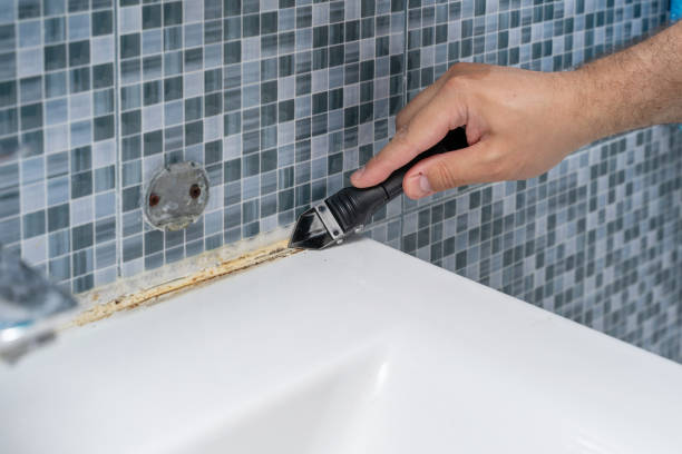 Best Black Mold Removal  in La Vista, NE