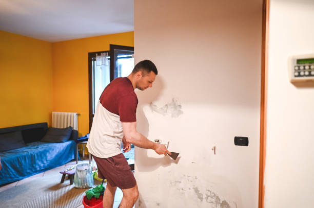 Best Commercial Mold Removal  in La Vista, NE